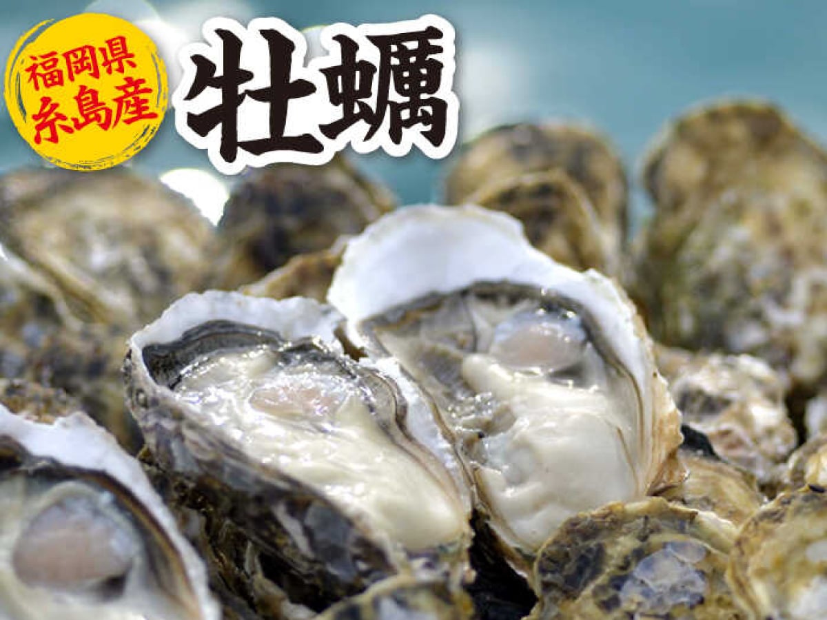 【ふるさと納税おすすめ】鮮度も味も抜群、BBQで重宝！福岡県糸島市の「殻付き牡蠣 加熱用 5kg」（40代・女性）