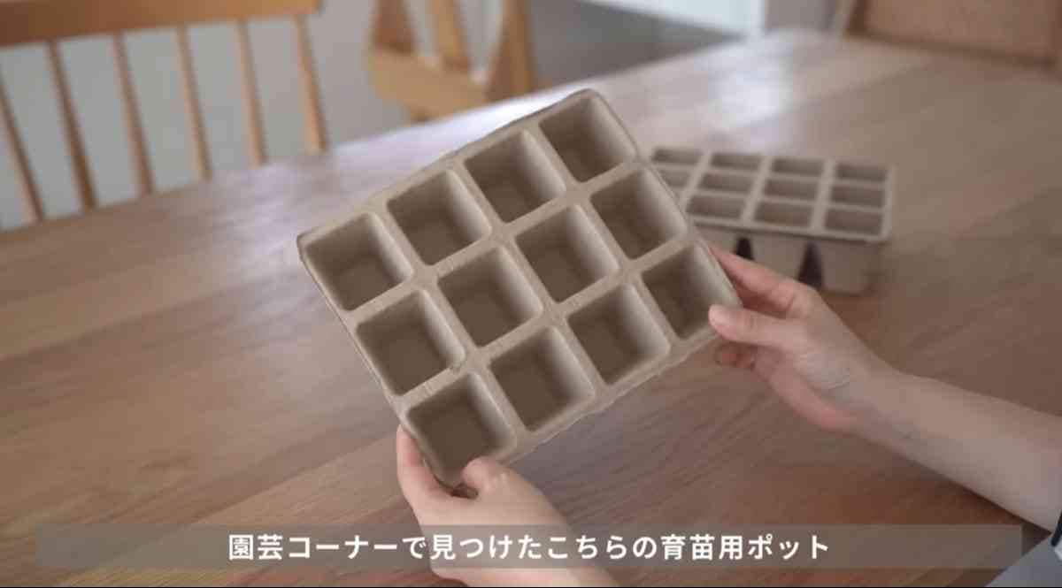 セリアの「紙ポット角型12個連結タイプ」