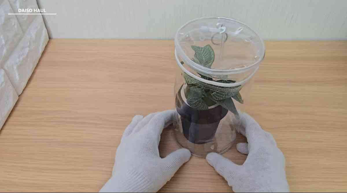 ダイソー┃BIGクリア円筒ポーチ