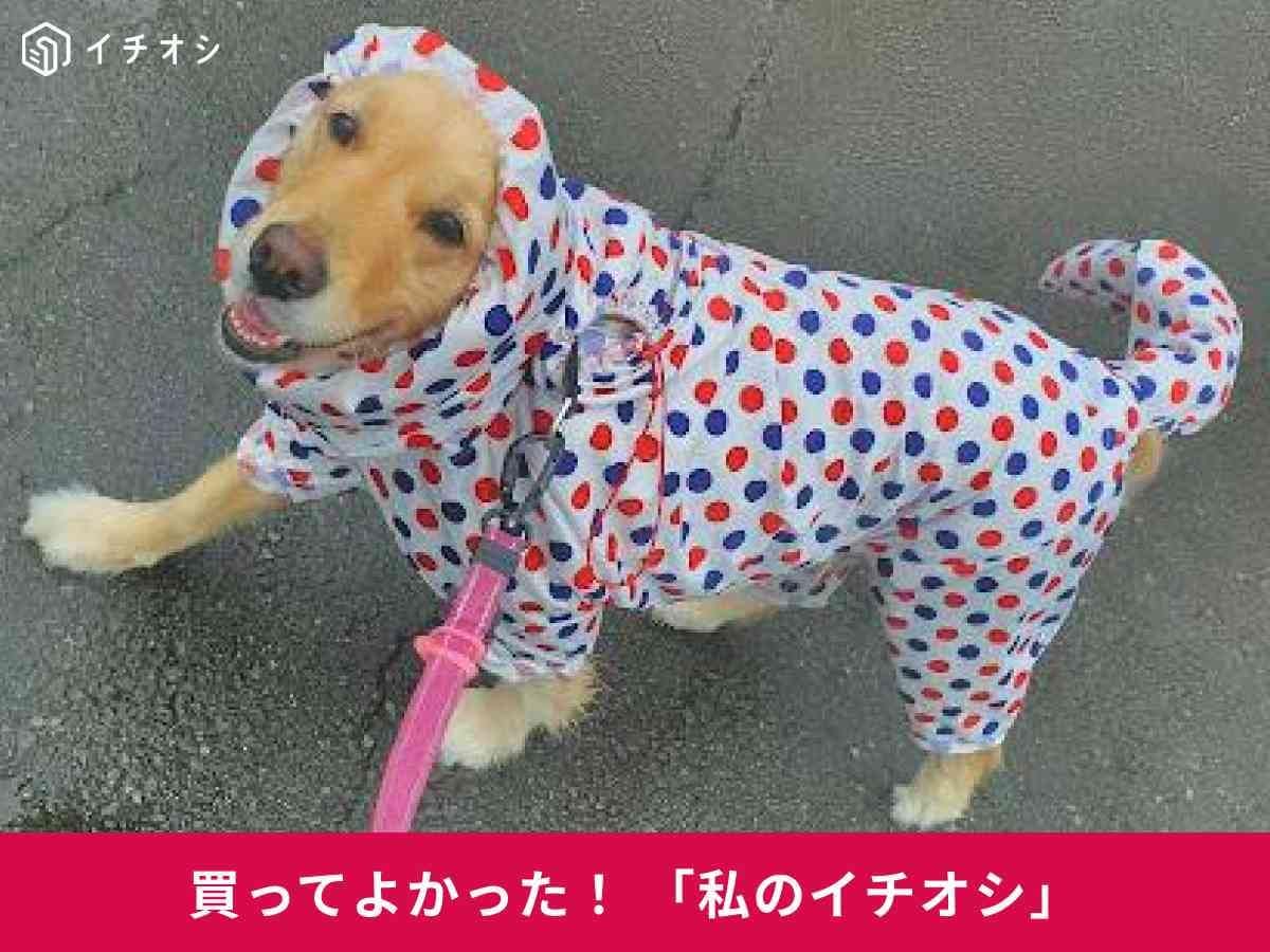 ユウランプ「ストレッチフルカバーレインコート」商品レビュー！大型犬の雨の日のお散歩を快適に！