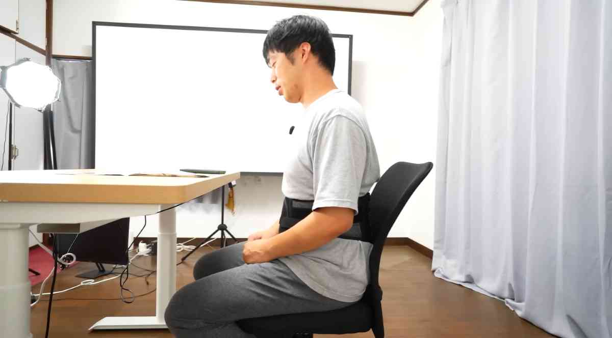 ガードナーベルト