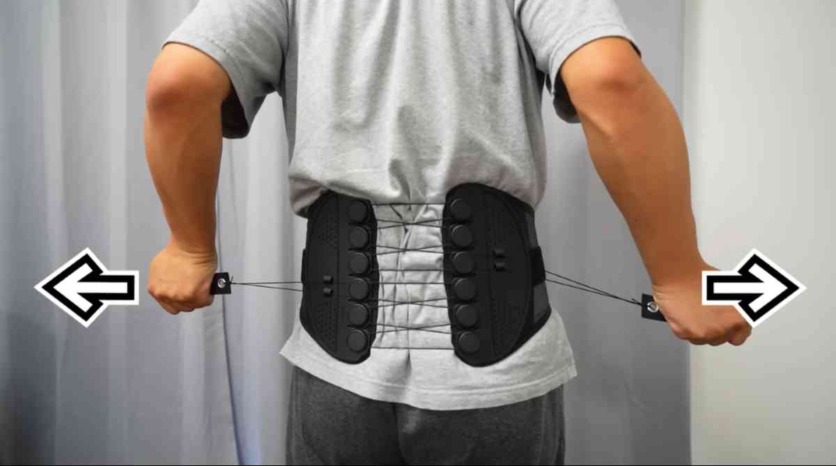 ガードナーベルト