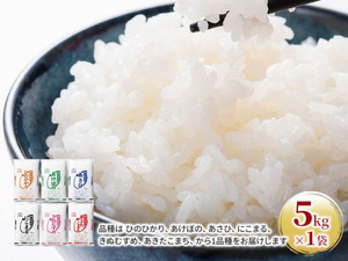 【ふるさと納税おすすめ】安いけどおいしい、あきたこまち！岡山県玉野市の「令和7年産 お米 5kg×1袋」（40代・女性）