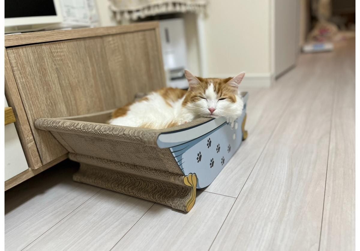 【オーサムストア猫グッズ】「バスタブ型」の爪とぎがかわいすぎる～！ねこのリラックス空間に最高なんです！