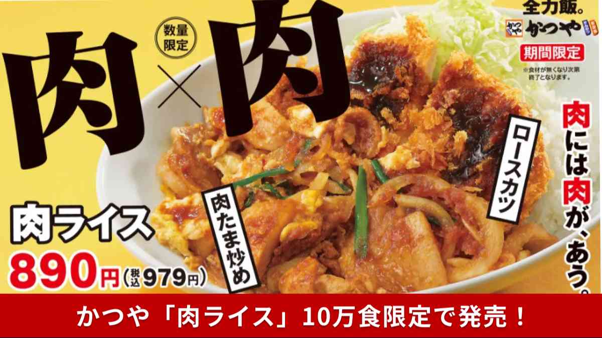 肉に肉をかけて豪快に!これがかつやの『肉ライス』