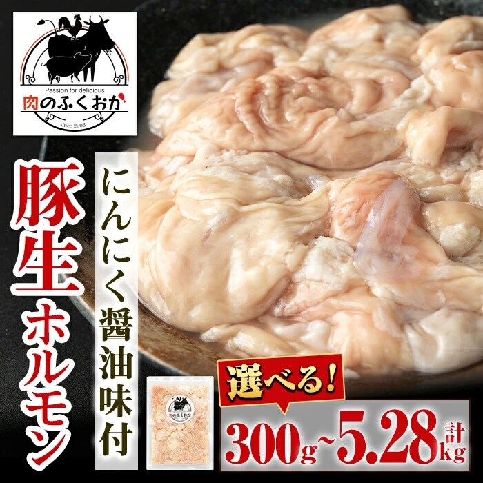 【ふるさと納税おすすめ】3000円から寄付可能！鹿児島県肝付町「豚生ホルモン にんにく醤油味付」（30代・男性）