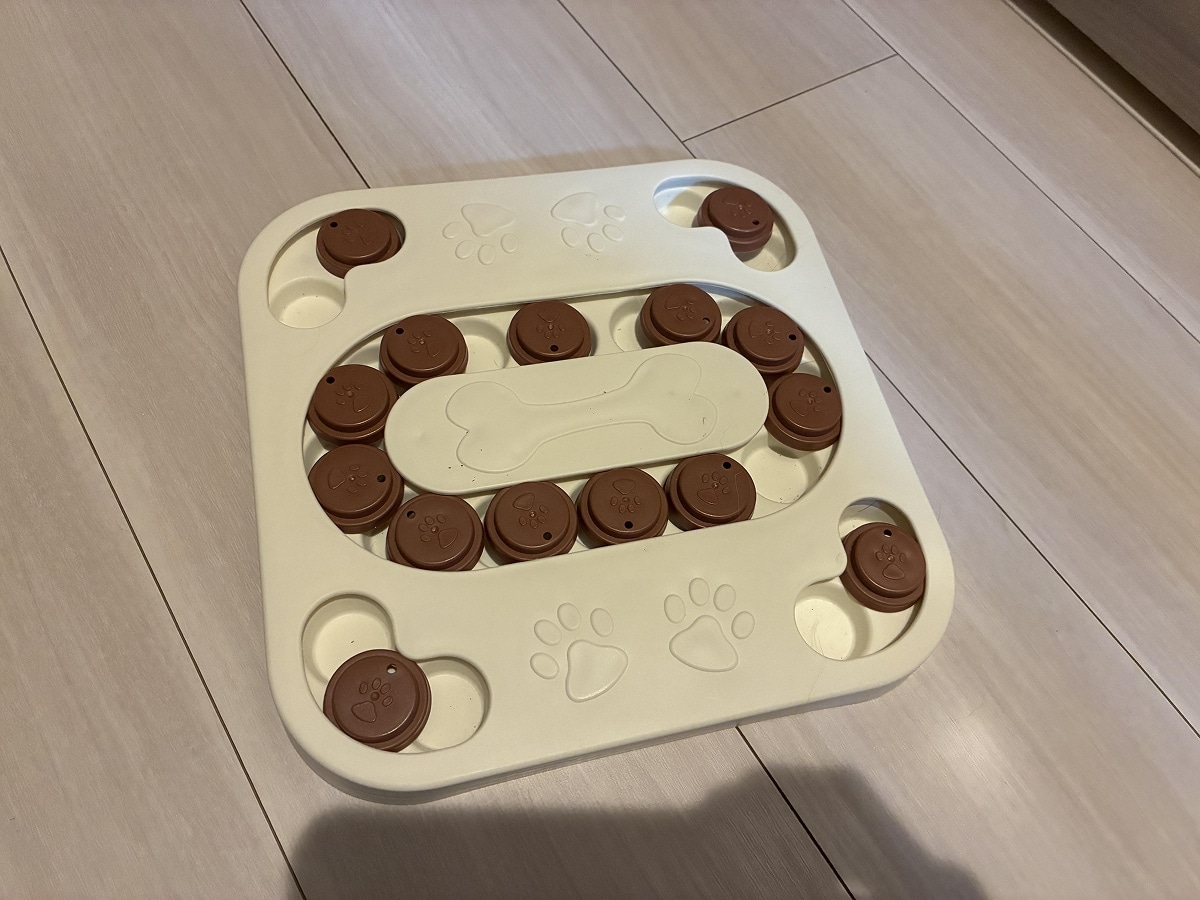 ��SHEINǭ���å��ۿ�������˷��ǭ�����ؤ��Ῡ���к��ˡ��֥ѥ���ȥ��פ�ͷ�Ӥʤ���򹯴�����