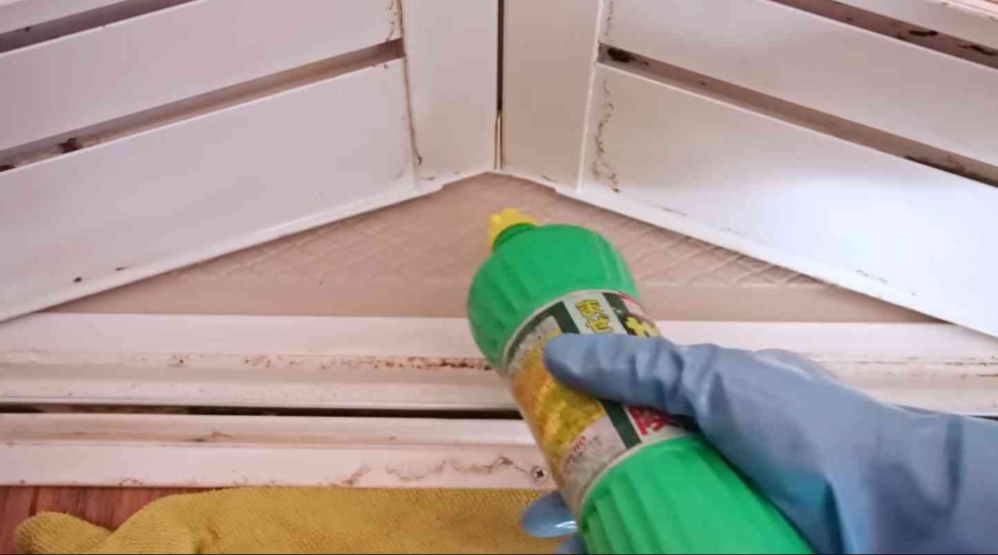 画像出典:YouTube/お掃除職人きよきよさん(https://www.youtube.com/watch?v=JhbuTwqOTXE)