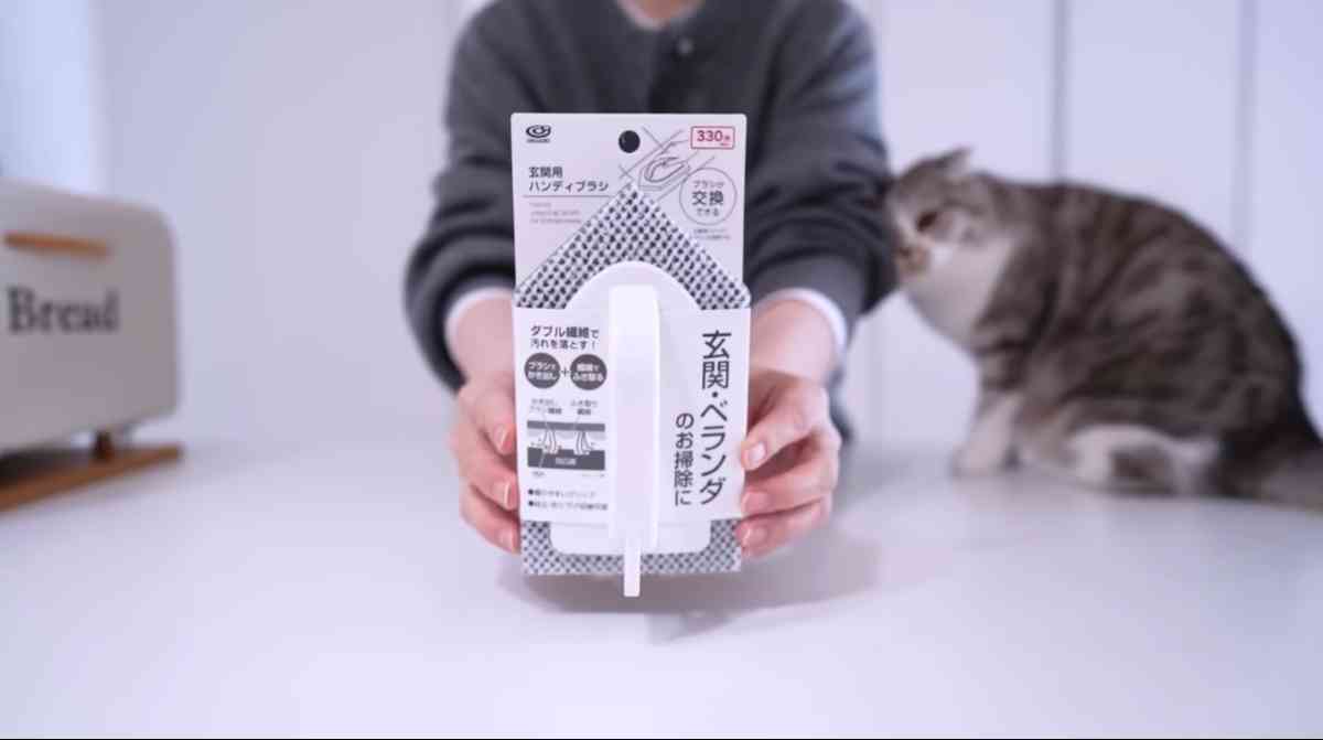 キャンドゥ┃玄関用ハンディブラシ