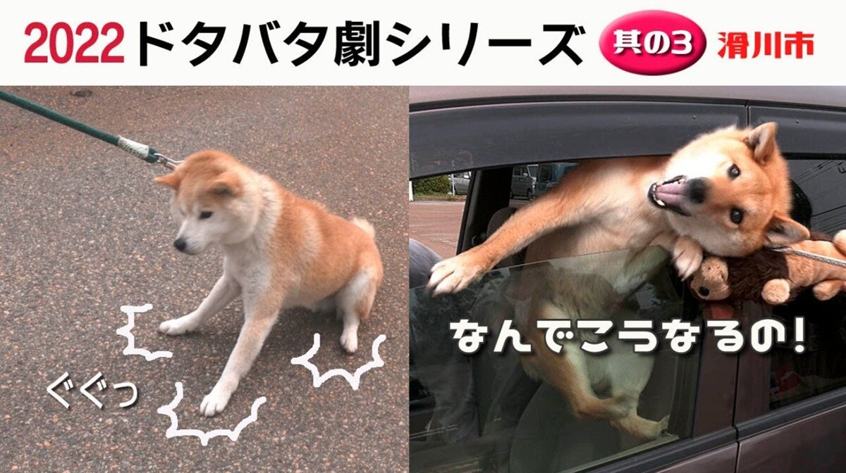 画像出典：YouTube（https://youtu.be/ecdrqfCKlRU）