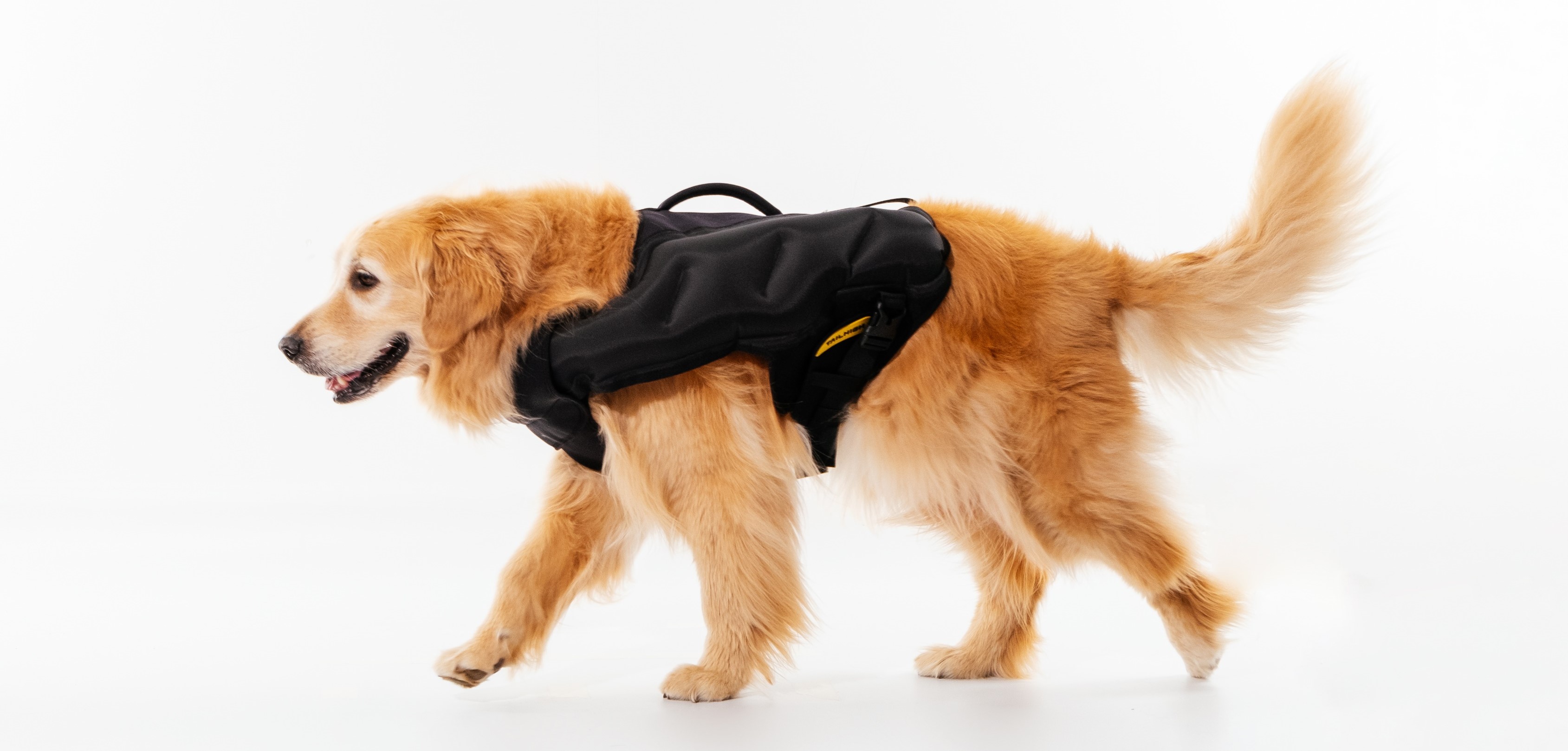 TAILHIGH(テールハイ) 犬用ライフジャケット