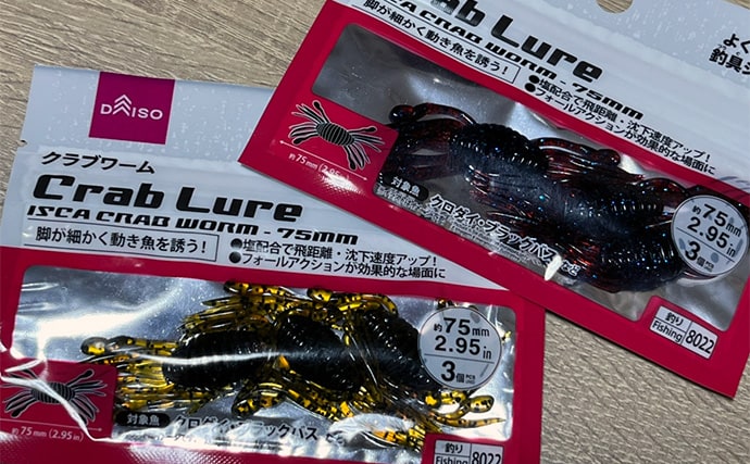 ダイソーの「クラブワーム」で良型マゴチをキャッチ【浜名湖】直リグに即ヒット!