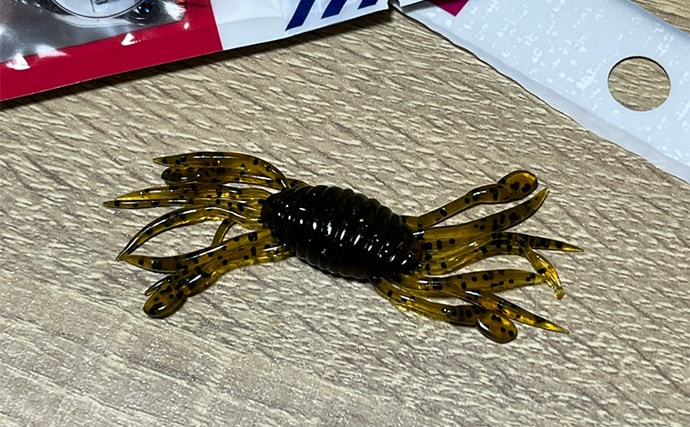 ダイソーの「クラブワーム」で良型マゴチをキャッチ【浜名湖】直リグに即ヒット!