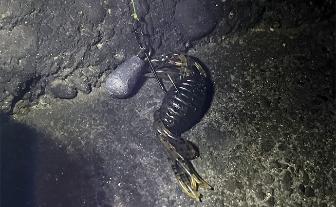 ダイソーの「クラブワーム」で良型マゴチをキャッチ【浜名湖】直リグに即ヒット!