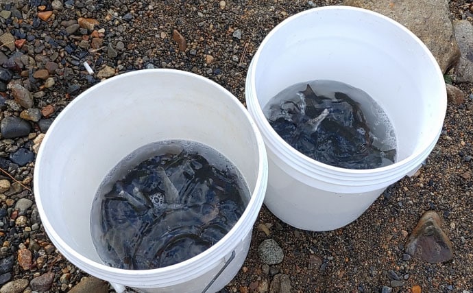 「待ちに待った渓流釣りが解禁！」 解禁直後の魚の動き方と攻略法を解説