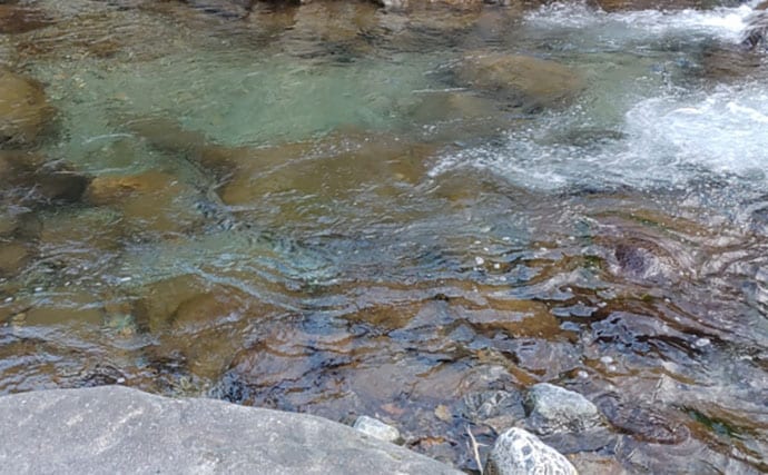 「待ちに待った渓流釣りが解禁！」 解禁直後の魚の動き方と攻略法を解説