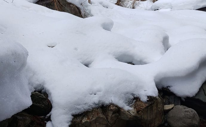 「待ちに待った渓流釣りが解禁！」 解禁直後の魚の動き方と攻略法を解説