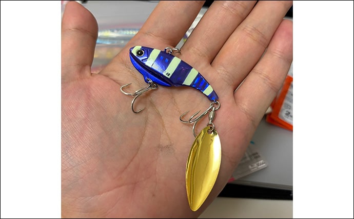 ライトショアジギング(LSJ)入門 メタルジグは最低限どのカラーを用意すればいいの?