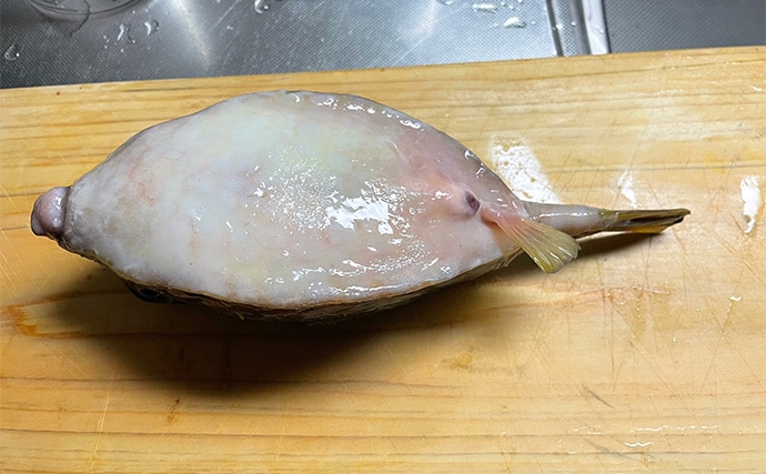 釣ったハコフグで作る「カットッポ」レシピ　毒がある皮の扱いに要注意