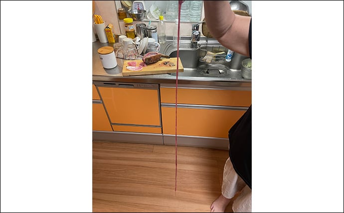 釣ったハコフグで作る「カットッポ」レシピ　毒がある皮の扱いに要注意