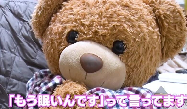 家、ついて行ってイイですか?