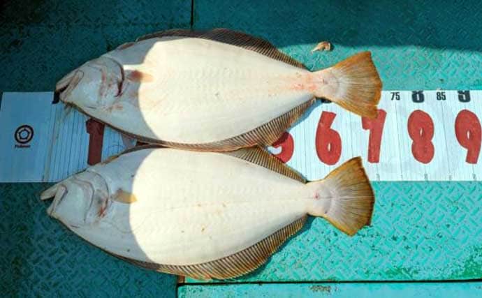 【沖釣り釣果速報】御前崎沖アマダイ五目で本命キャッチ！赤白アマダイ交じり多彩釣果（愛知・静岡）