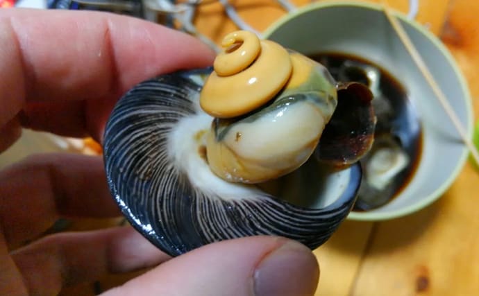 「メバルじゃないメバルに魚ですらないカサゴ」 呼ばれ方で勘違いされやすい生き物たち