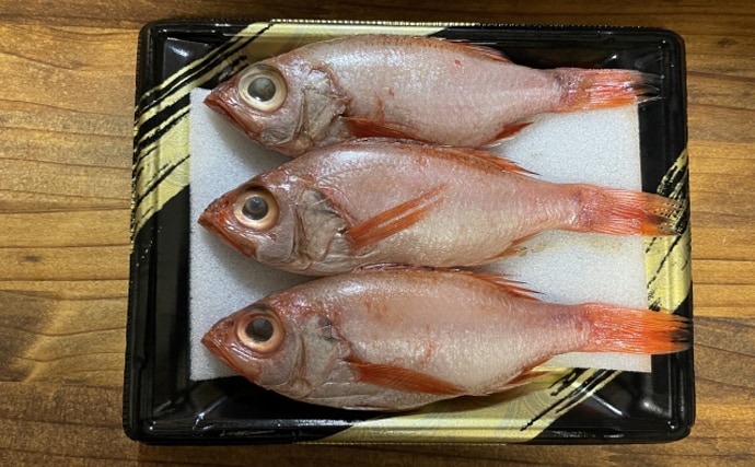 高級美味魚の代表『アカムツ（のどぐろ）』の完全養殖に成功！