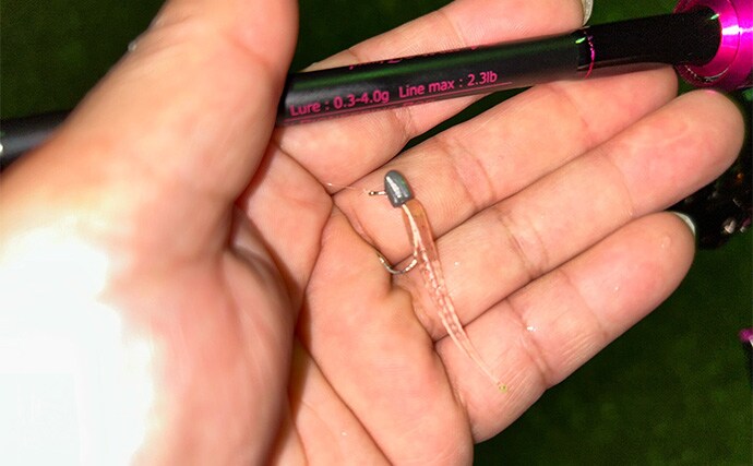 「秋だけどまだ釣れる！」上天草でのルアーフィッシングで有明ターポン連発【熊本】