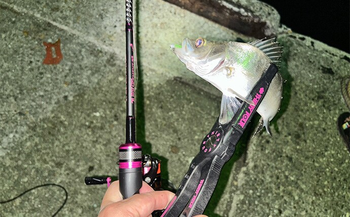 「秋だけどまだ釣れる！」上天草でのルアーフィッシングで有明ターポン連発【熊本】