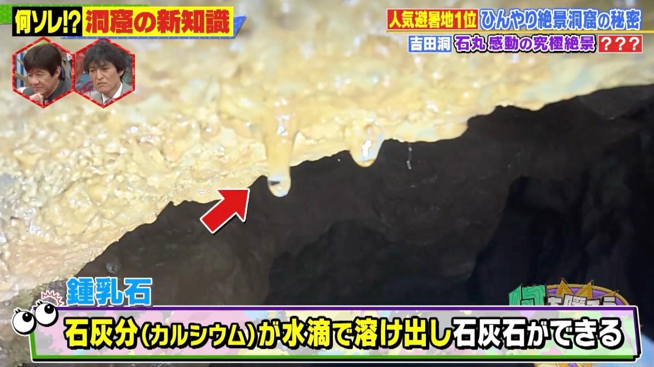 記事画像