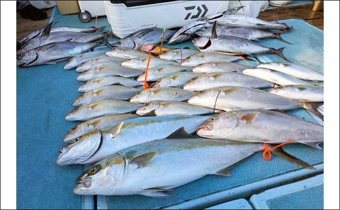 【沖釣り釣果速報】落とし込み釣りでヒラマサ107cm浮上!エサ付き抜群で青物ラッシュ!(福岡)