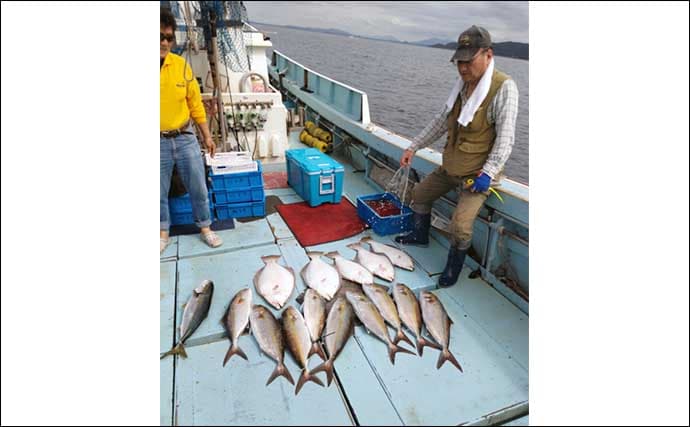 【沖釣り釣果速報】落とし込み釣りでヒラマサ107cm浮上!エサ付き抜群で青物ラッシュ!(福岡)