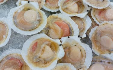 国内ホタテ産業の本当のリスクは中国ではなかった？　脱中国依存が加速か