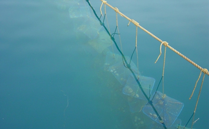 国内ホタテ産業の本当のリスクは中国ではなかった？　脱中国依存が加速か