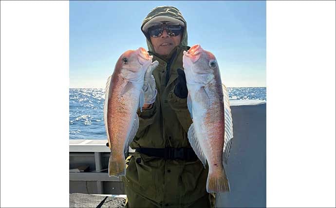 中深海釣りでオニカサゴ・ウッカリカサゴ・トラフグなど良型中心に好ヒット【愛知】