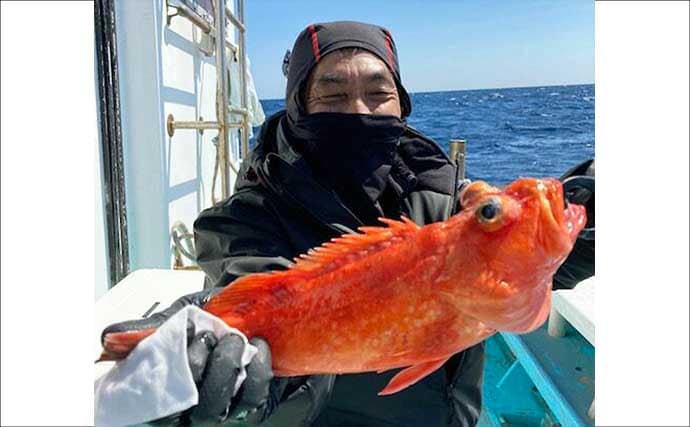 中深海釣りでオニカサゴ・ウッカリカサゴ・トラフグなど良型中心に好ヒット【愛知】