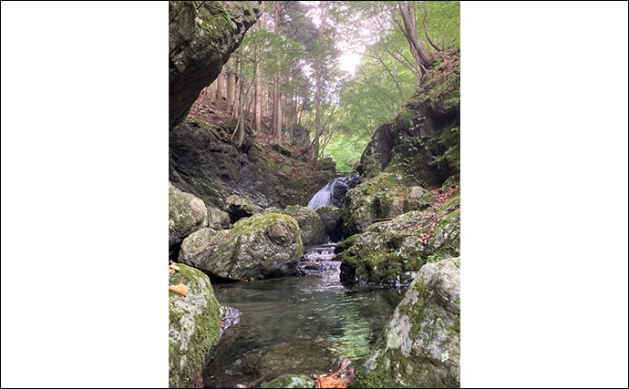 奥多摩の渓流釣りが禁漁に 熊の出没も相次いだ今シーズンを振り返る【東京】