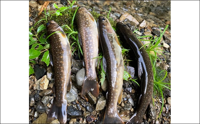 奥多摩の渓流釣りが禁漁に 熊の出没も相次いだ今シーズンを振り返る【東京】
