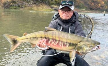 鮭川の鮭有効利用調査で良型73cm4.6kg浮上!【山形】仲間は念願の初サケを手に