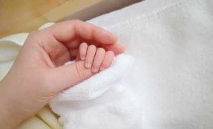 Instagram:トリンドル玲奈(@toritori0123)より