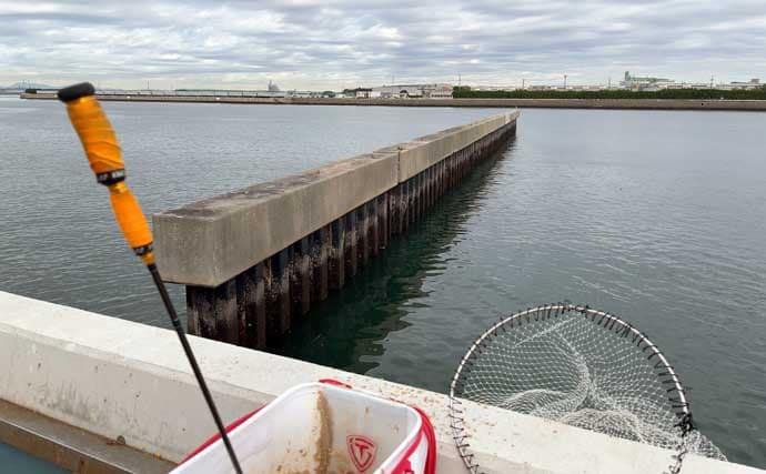 碧南釣り広場のウキフカセ釣り攻略：パイル周りでクロダイ38cm含む4匹キャッチ