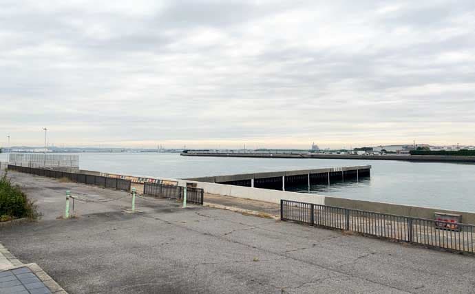 碧南釣り広場のウキフカセ釣り攻略：パイル周りでクロダイ38cm含む4匹キャッチ