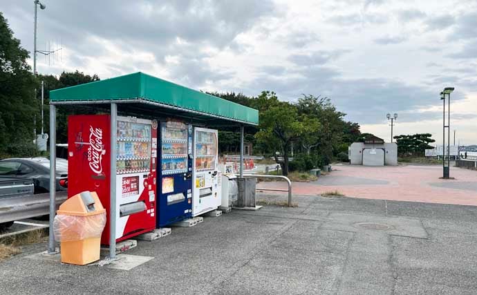 碧南釣り広場のウキフカセ釣り攻略：パイル周りでクロダイ38cm含む4匹キャッチ