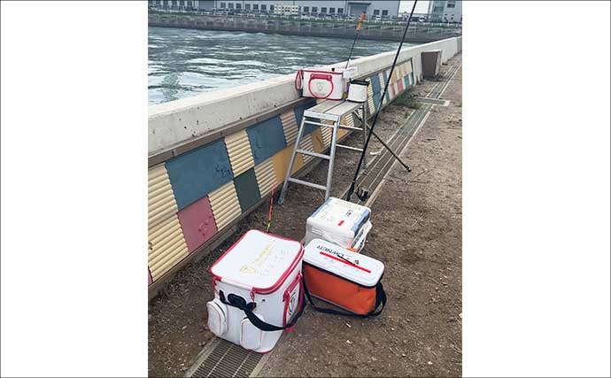 碧南釣り広場のウキフカセ釣り攻略：パイル周りでクロダイ38cm含む4匹キャッチ