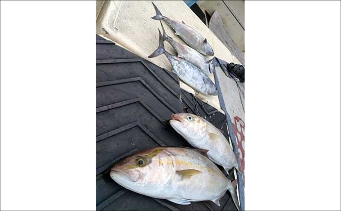 【沖釣り釣果速報】マダイ良型ラッシュ!タイラバ&SLJでヒット連発(長崎・佐賀)