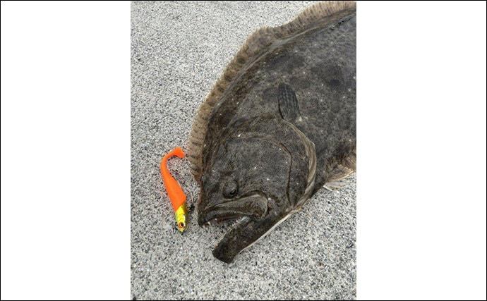 ルアーヒラメ釣り中毒者がオススメする『FJロデム』ってどんなルアー？