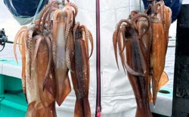 【沖釣り釣果速報】7点掛けも飛び出す好況！スルメイカ多点ヒット連発（北陸）