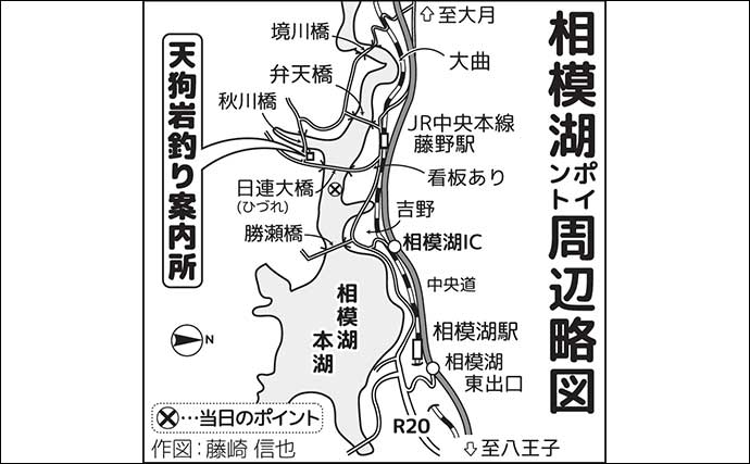 秋本番のボートワカサギ釣りで242尾キャッチ【神奈川・相模湖】群れを読んで手返し良くヒット
