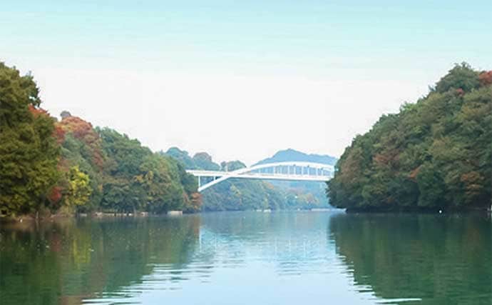 秋本番のボートワカサギ釣りで242尾キャッチ【神奈川・相模湖】群れを読んで手返し良くヒット